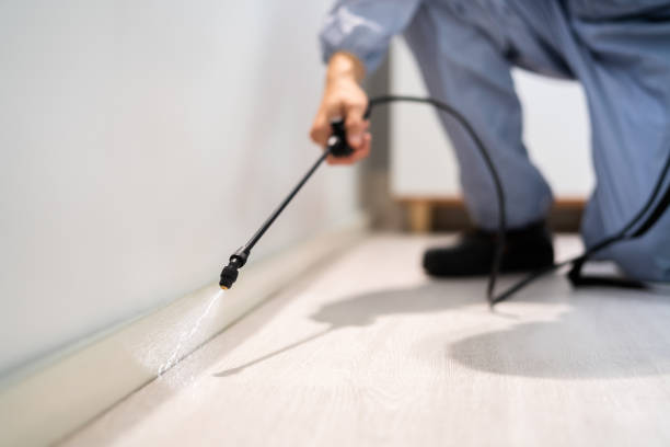 Licensed Cockroach Control service in Venice, IL - Nex Pest Control