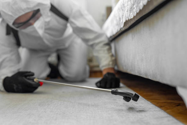 Professional Cockroach Control technician working in Venice, IL