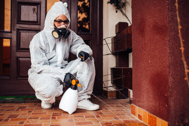 Reliable Cockroach Control contractor in Venice, IL by Nex Pest Control